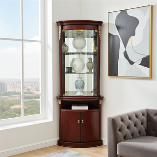 Mayalu Lighted Corner Display Cabinet